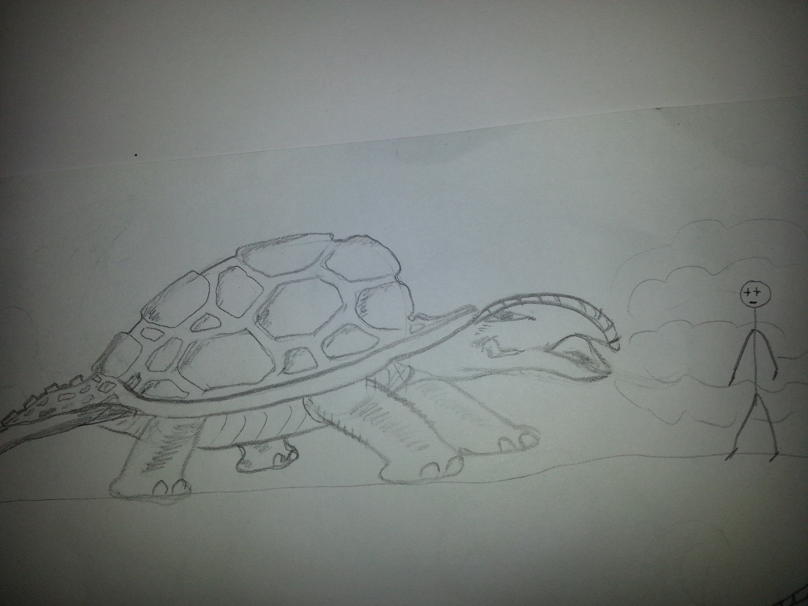 DURUS CONCHA